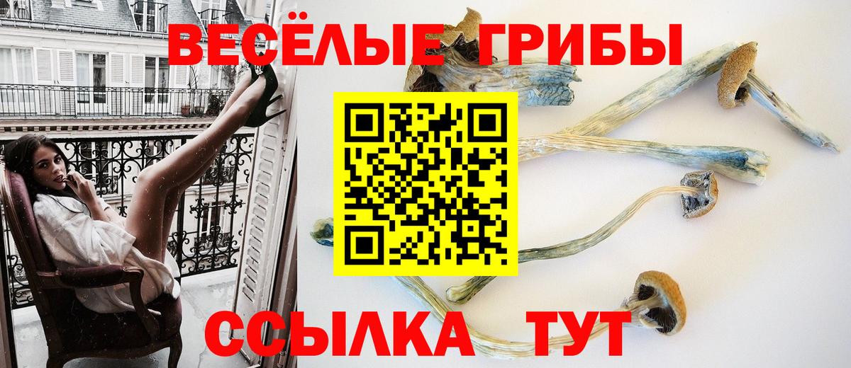 Морозовск  Галлюциногенные грибы MAGIC MUSHROOMS  Псилоцибиновые грибы MAGIC MUSHROOMS  Вход с VPN 